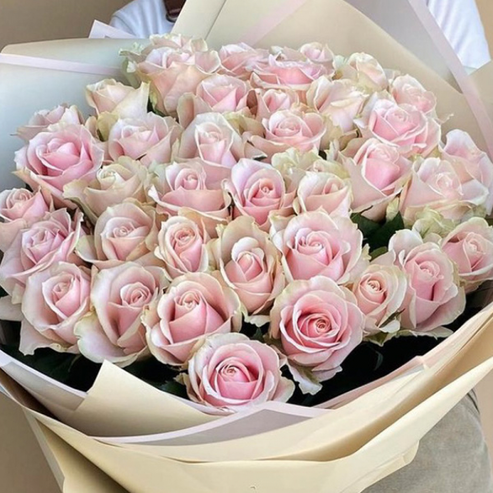 Нежно-розовая роза Sweet Avalanche (Россия)