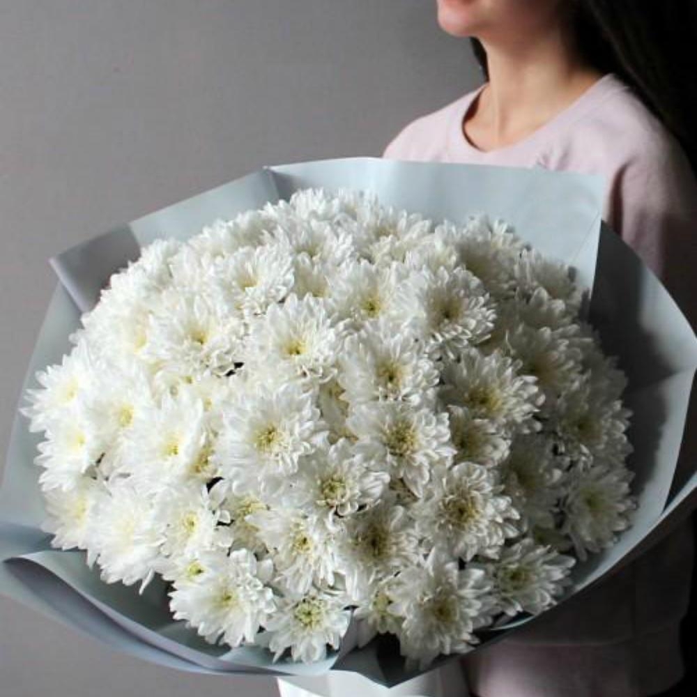 Кустовая хризантема белая Балтика