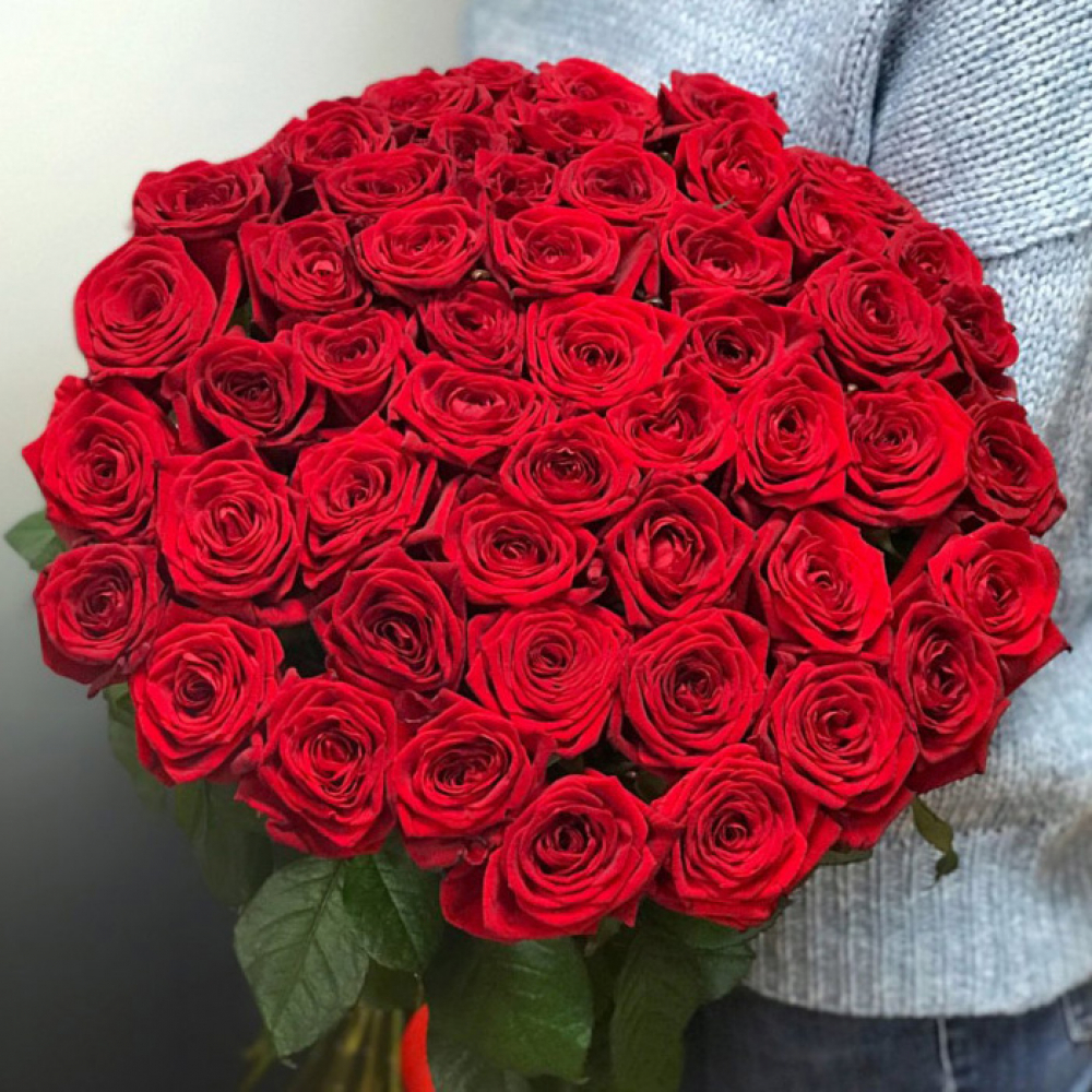 Красная роза Prestige (Россия)