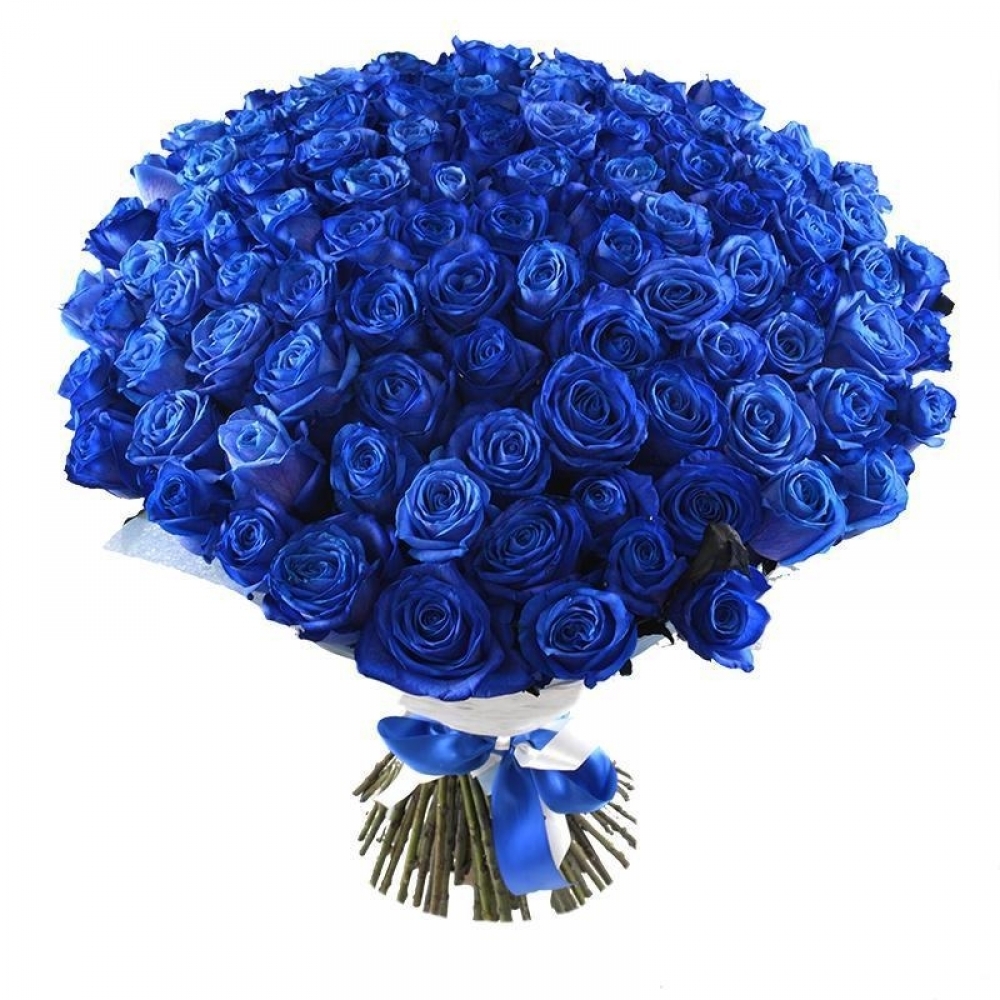 Синяя роза Mondial