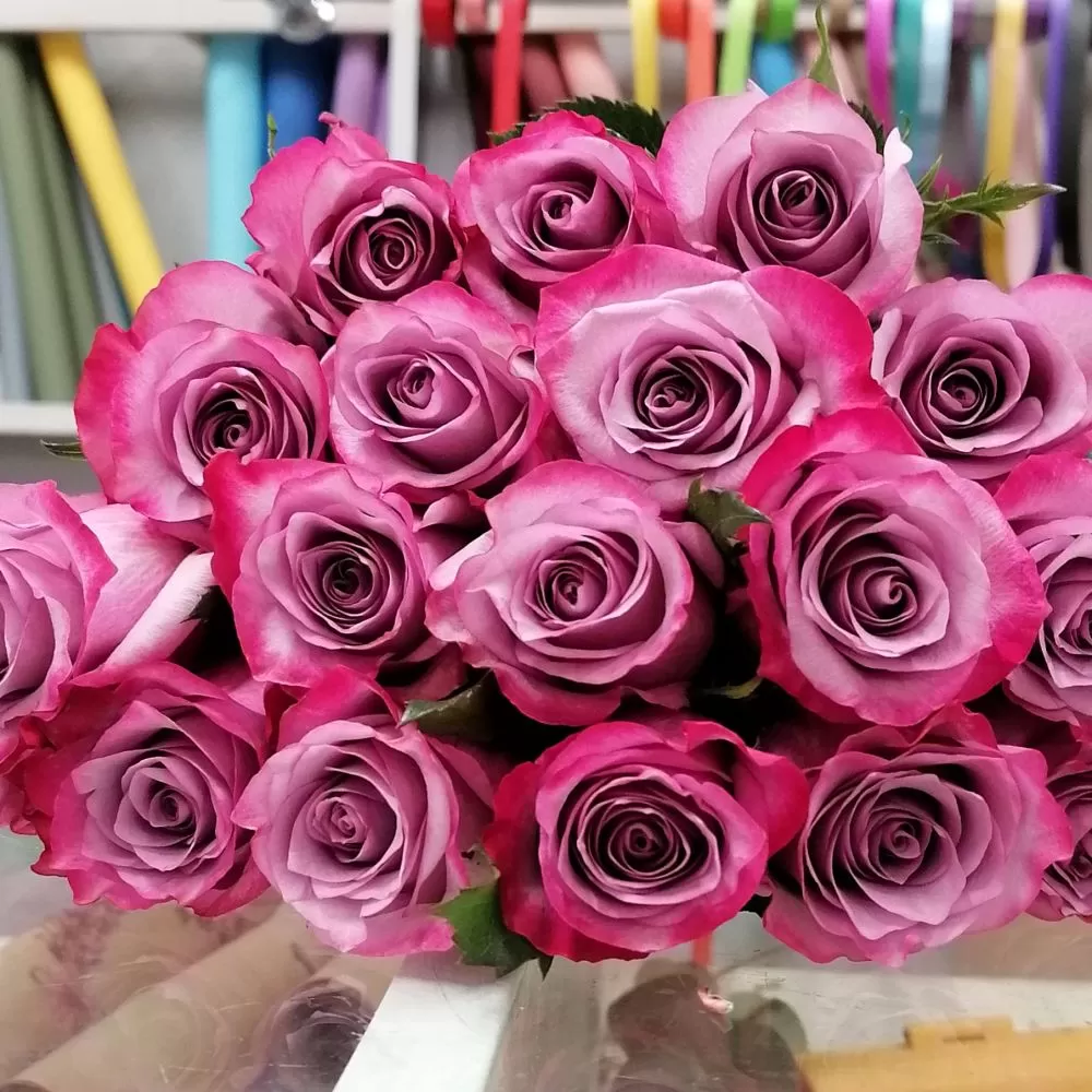 Фиолетовая роза Deep Purple