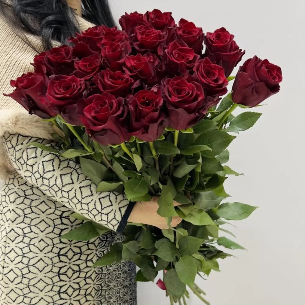 Высокая красная роза Explorer Premium