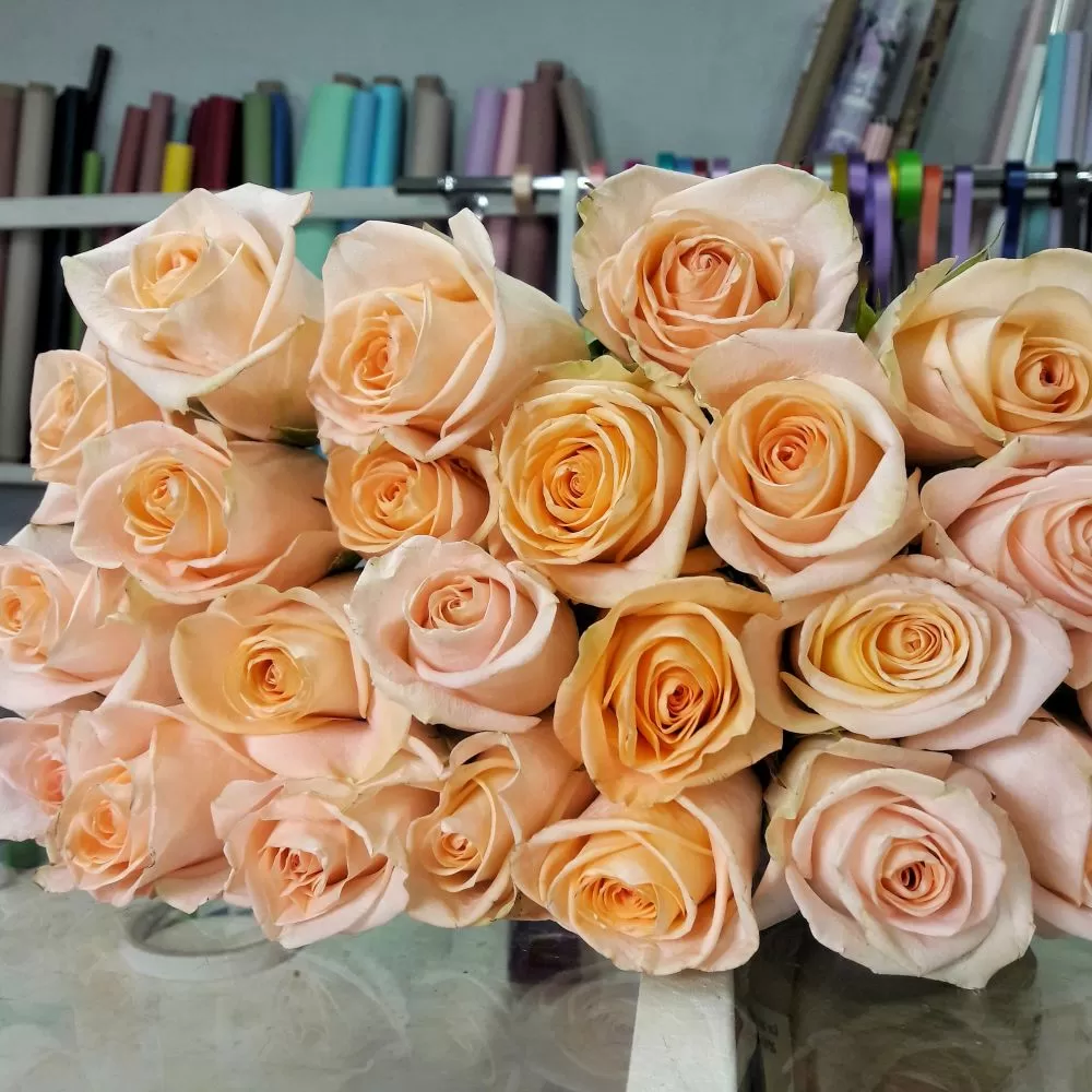 Нежно-золотистая роза Tiffany